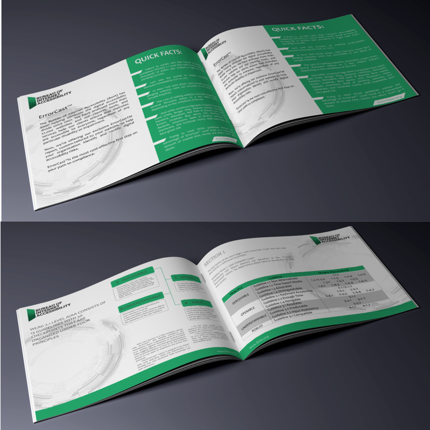 Diseño de Brochure por elveneclipse para Accessibility Now | Diseño #21734017