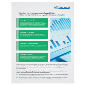 Brochure for a website accessibility report 