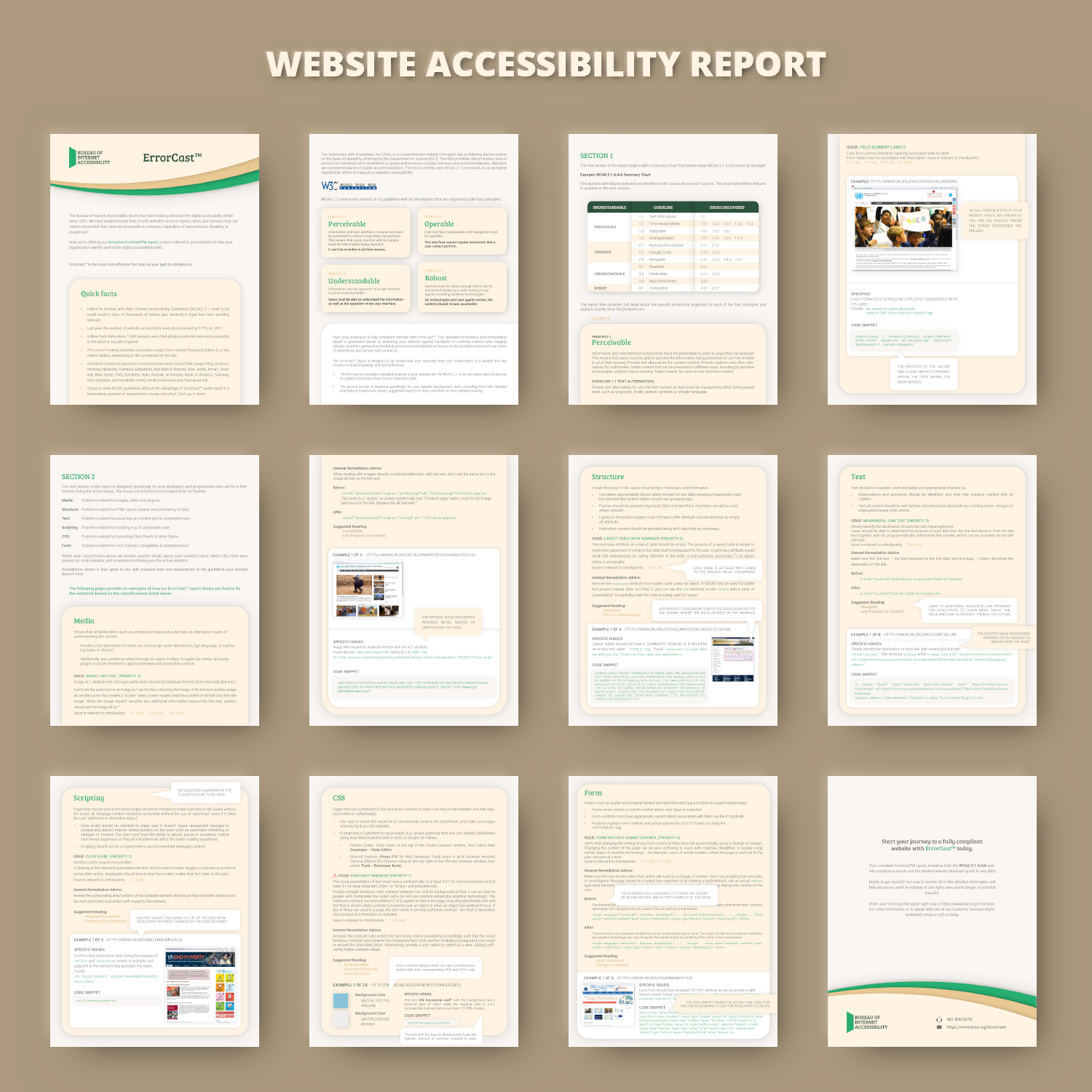 Diseño de Brochure por Azmat-ullah para Accessibility Now | Diseño #21738727