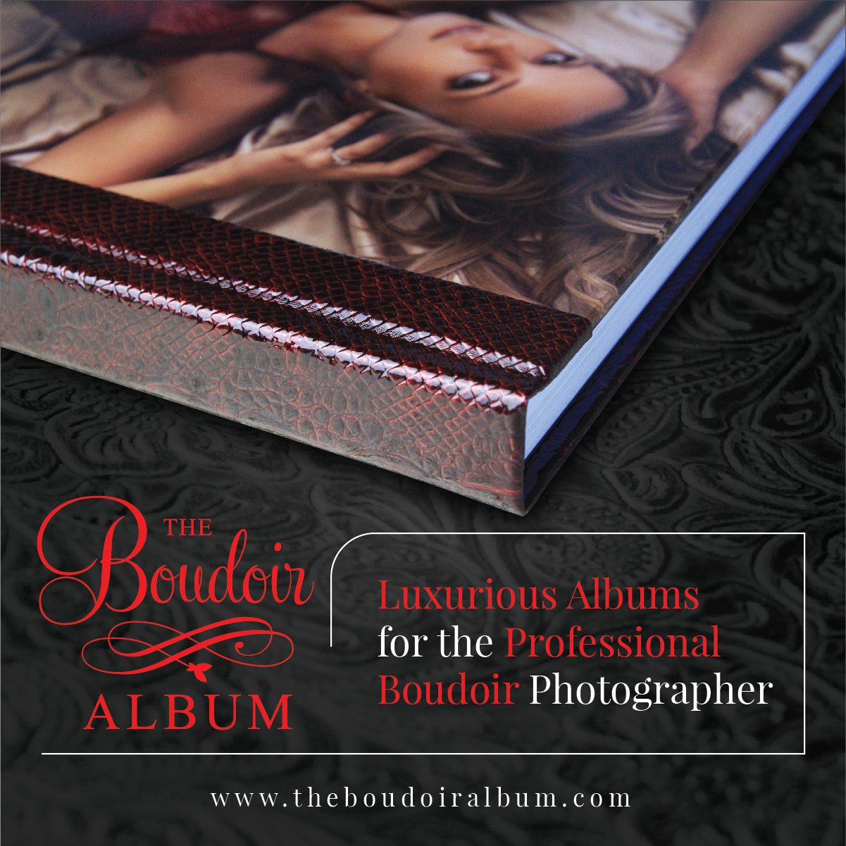 Signage Design by Maxo-Biz for this project | Design #21710464