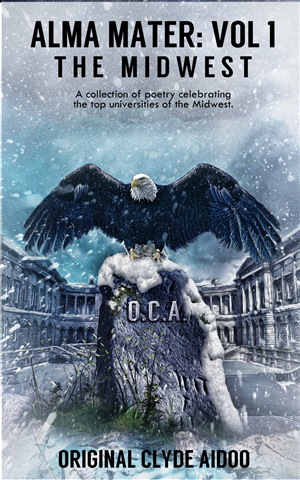 Book Cover Design by Vanes7 for this project | Design: #2966023