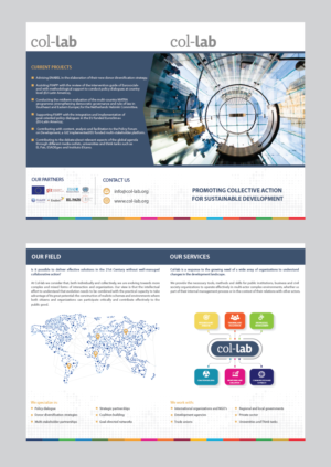 Design a cool print brochure for an NGO /  Give your work a global impact!! | Flyer-Design von alex989