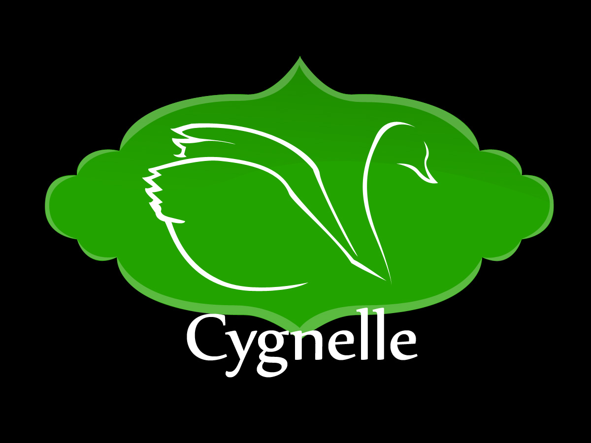 Logo Design by Robocker Made for this project | Design #705366