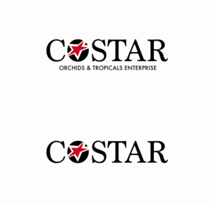 Logo Design by AlohaGirl