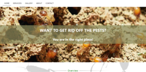 Web Design by Jehu Baybayon