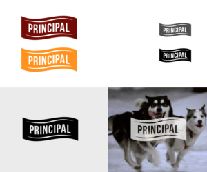 Logo Design by cerus for Petshop Tierb. GmbH | Design: #21754811