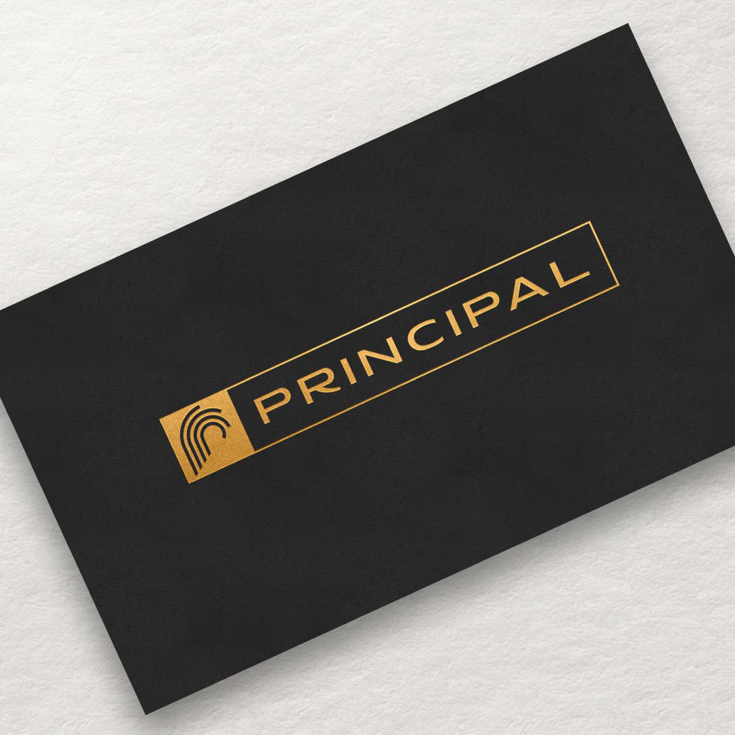 Logo Design by SlashGrid for Petshop Tierb. GmbH | Design #21748326