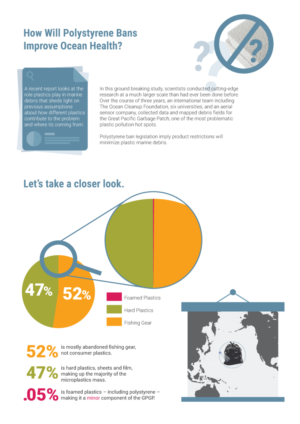 Environmental Plastics Infographic on Marine Debris | Graphic Design by GM