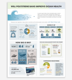 Environmental Plastics Infographic on Marine Debris | Grafik-Design von DesignGenie
