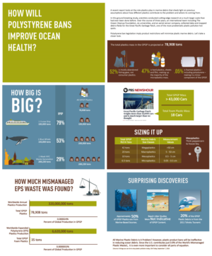 Environmental Plastics Infographic on Marine Debris | Graphic Design by DesignerGuide