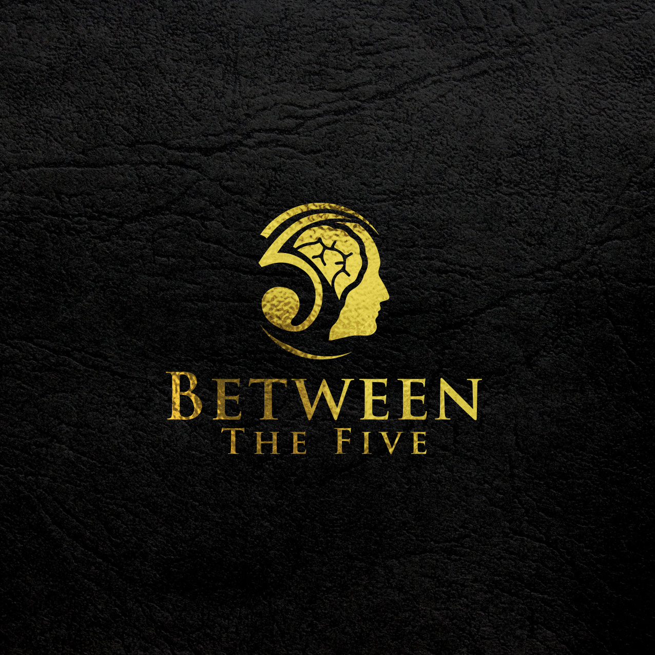 Logo Design by arrow goal for this project | Design: #21743864