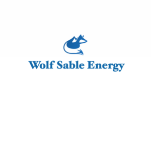 Logo Design by guzelsin89