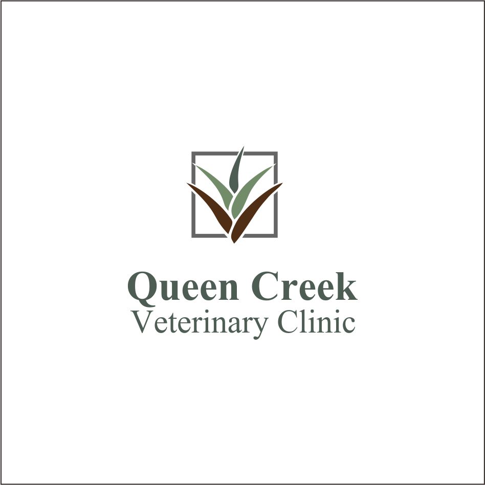 Logo Design by edo 5 for smallBUSINESSAZ.com LLC | Design #21736083