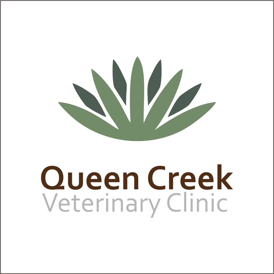 Logo Design by edo 5 for smallBUSINESSAZ.com LLC | Design #21736138
