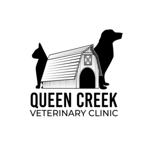 Logo Design by Cako 3