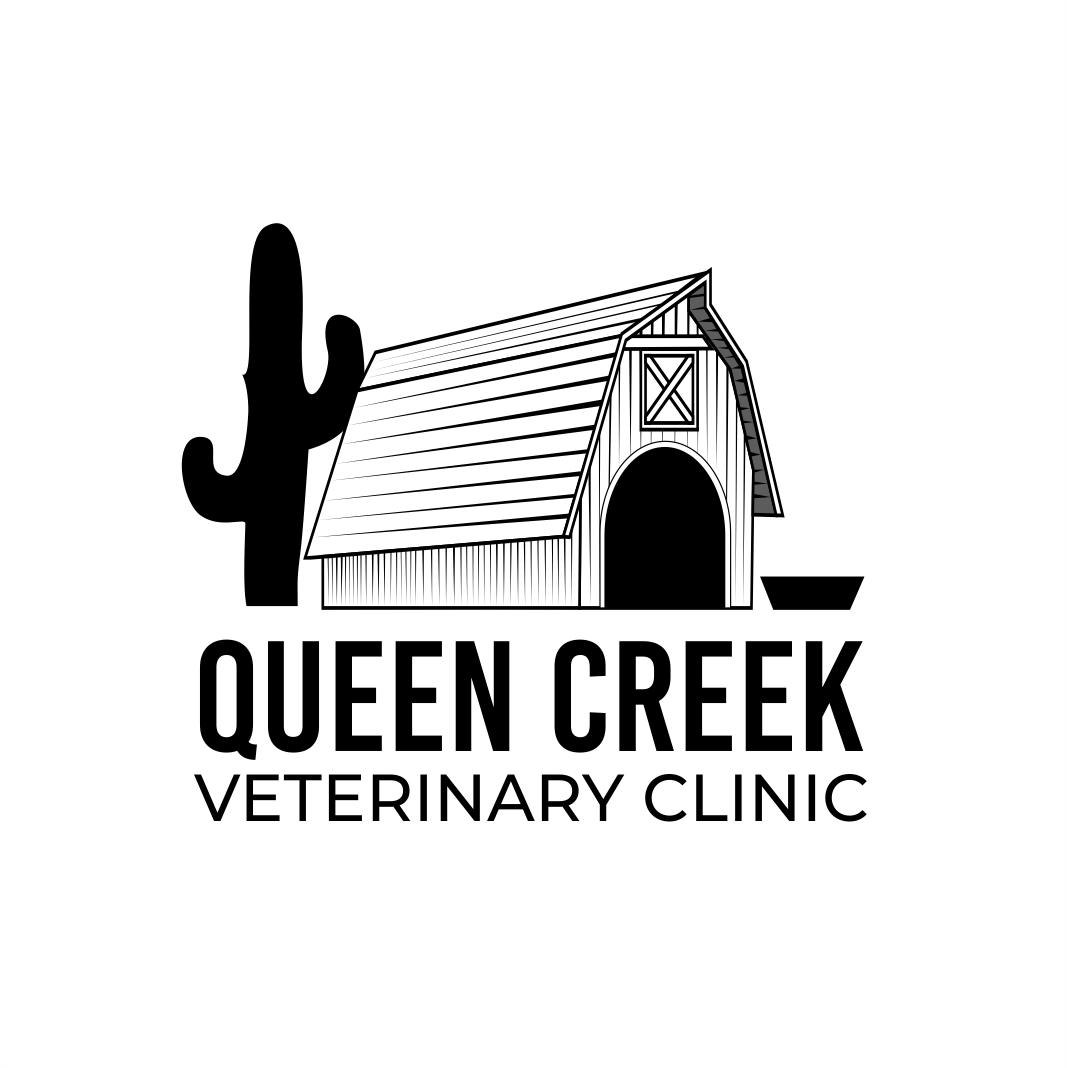 Logo Design by Cako 3 for smallBUSINESSAZ.com LLC | Design #21731083