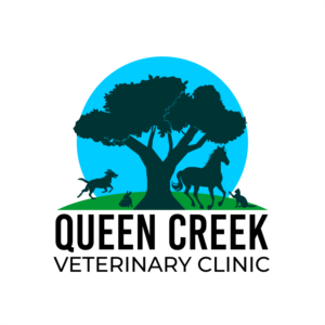 Logo Design by Cako 3 for smallBUSINESSAZ.com LLC | Design: #21731084