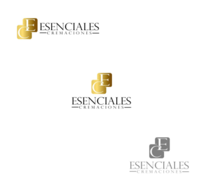 Diseño de Logo por estefano3000 para este proyecto | Diseño #21776689