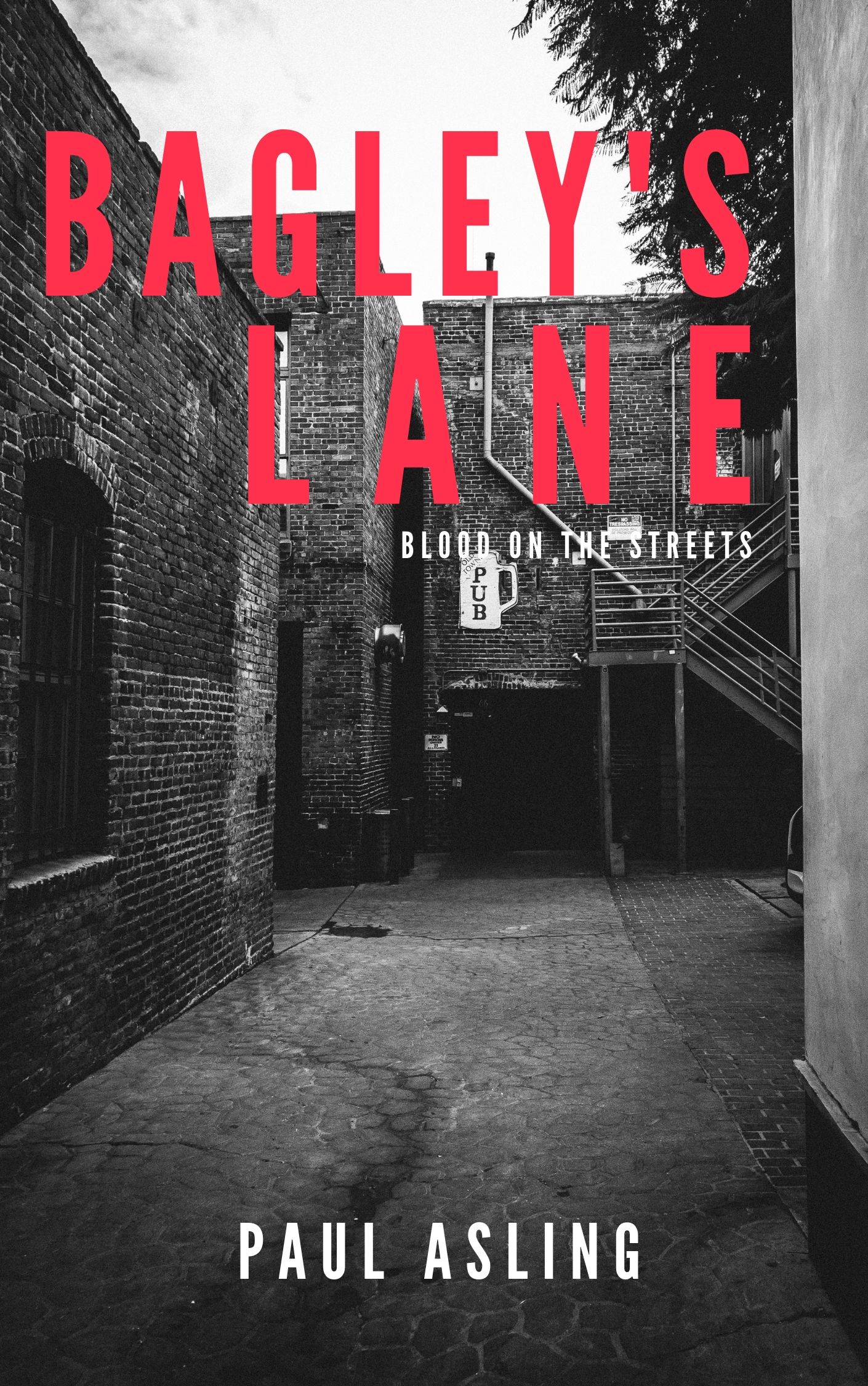 eBook Cover Design by Ferinaab for Author | Design #21753250