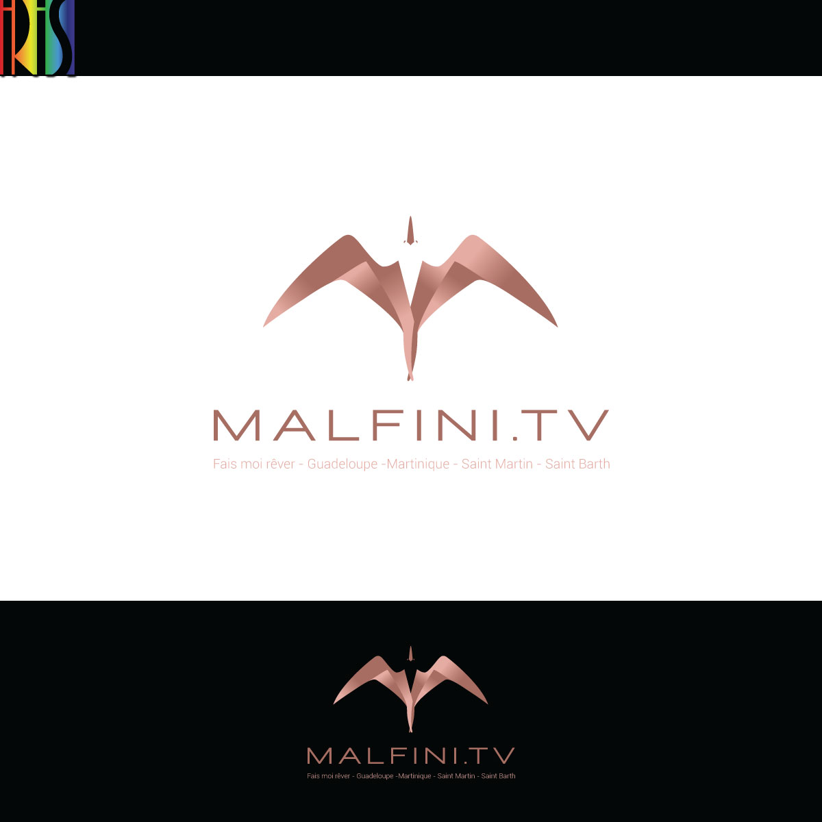 Logo Design by Iris 3 for Malfini.tv | Design #21816613