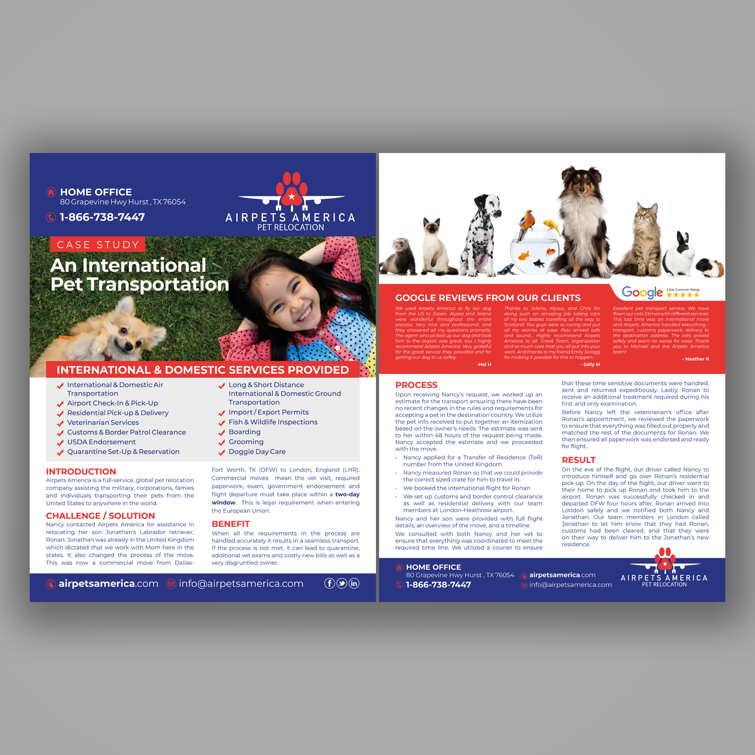 Flyer Design by Mariyam Khan for Airpets America | Design #21750937