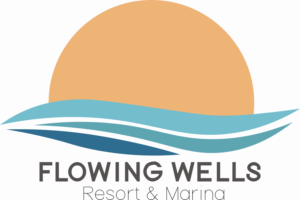 Logo Design by tumbibumbi