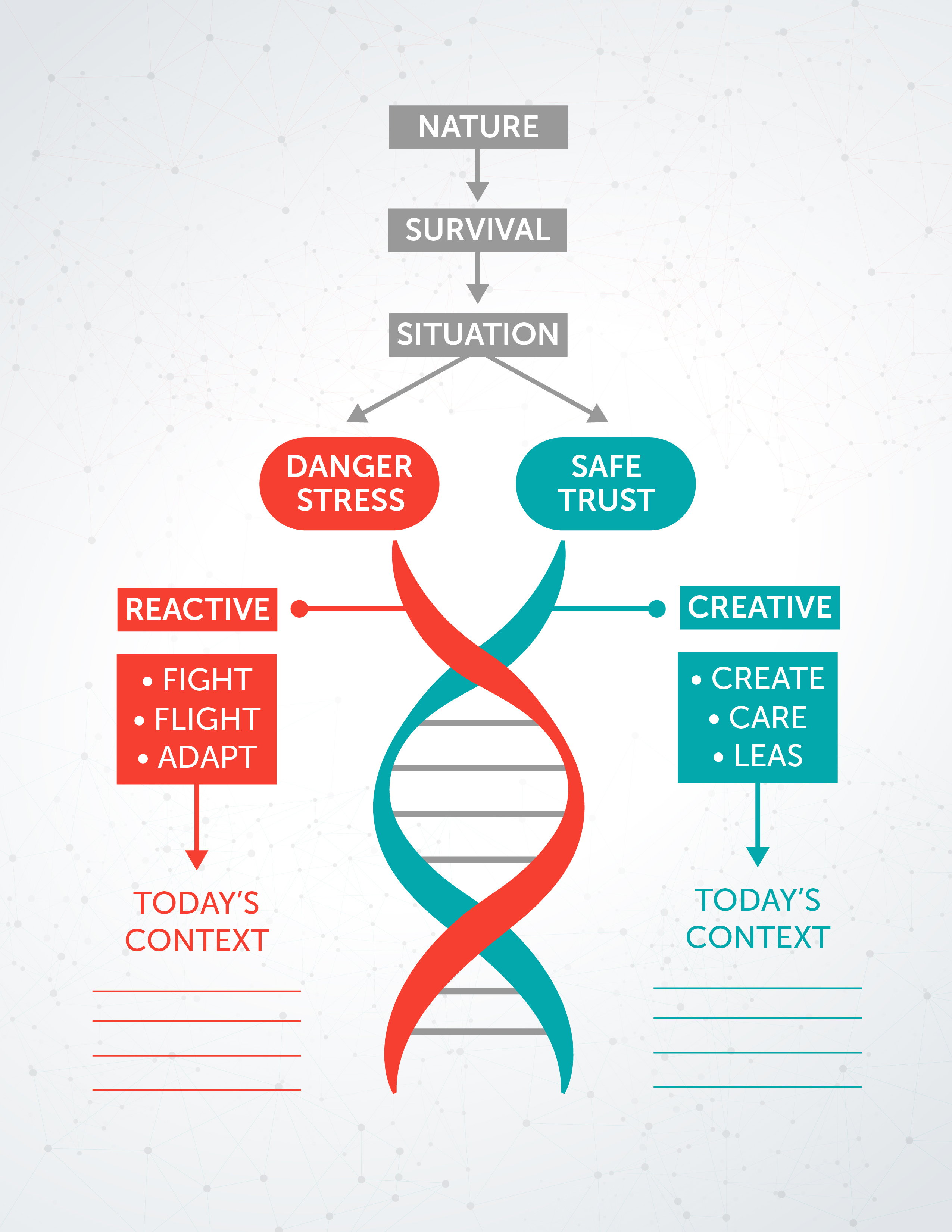 Infographic Design by SL Media for this project | Design #21758497