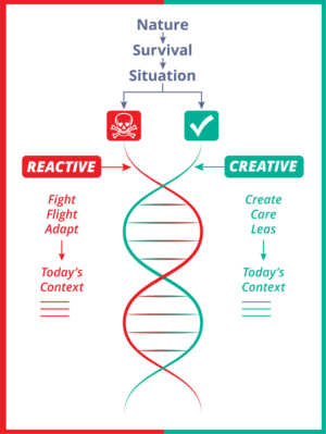 Infographic Design by henok mulugeta8 for this project | Design: #21780999