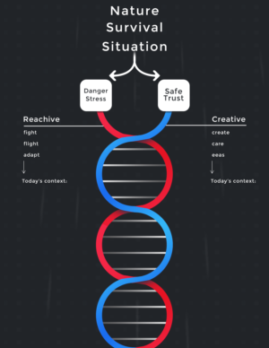 Design Infographie par Michael_Graphics pour ce projet | Design #21808711