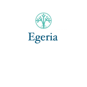 Logo Design by guzelsin89