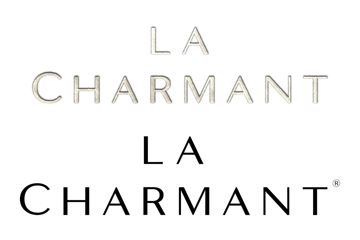 Logo Design by capcake for this project | Design #21758094