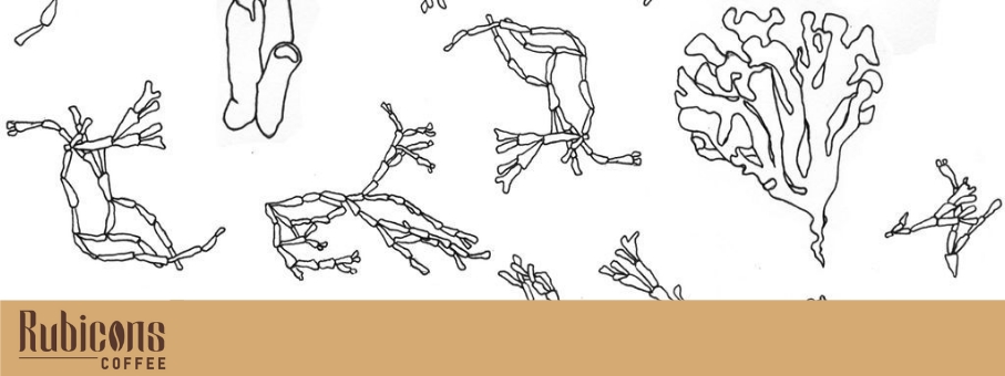 Graphic Design by lizbarkerart for this project | Design #21773019