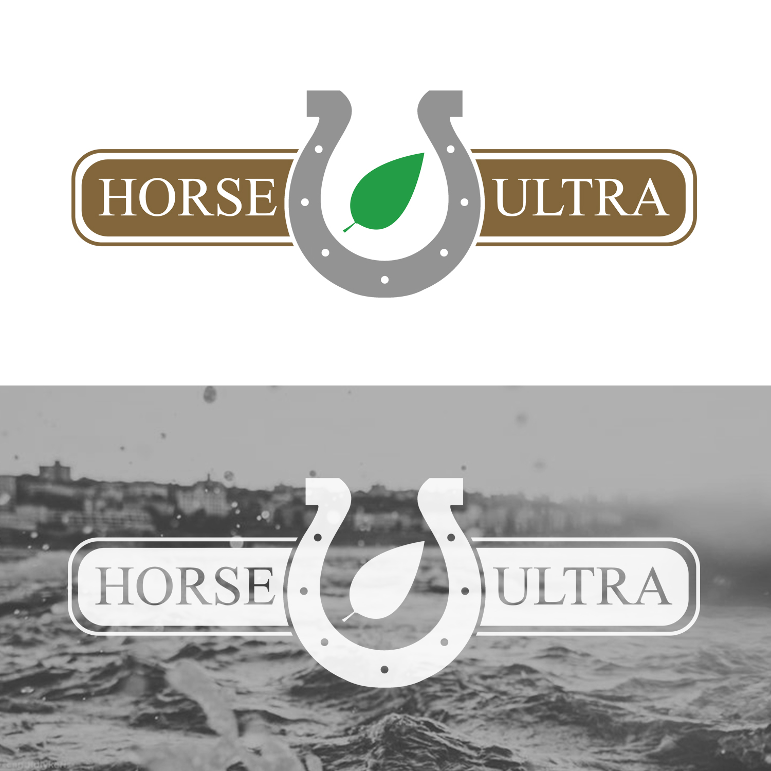 Diseño de Logo por Ivanbitar para este proyecto | Diseño #21762198