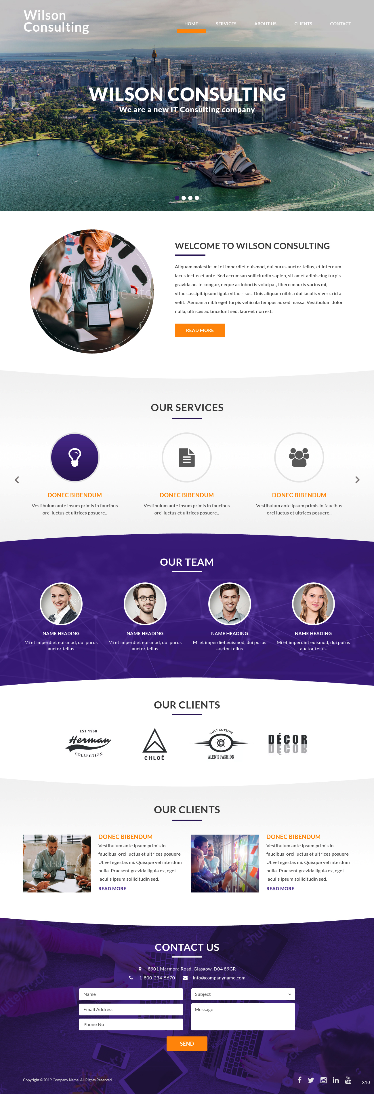 Wordpress Design by pb for Aipex Consulting | Design #21792210