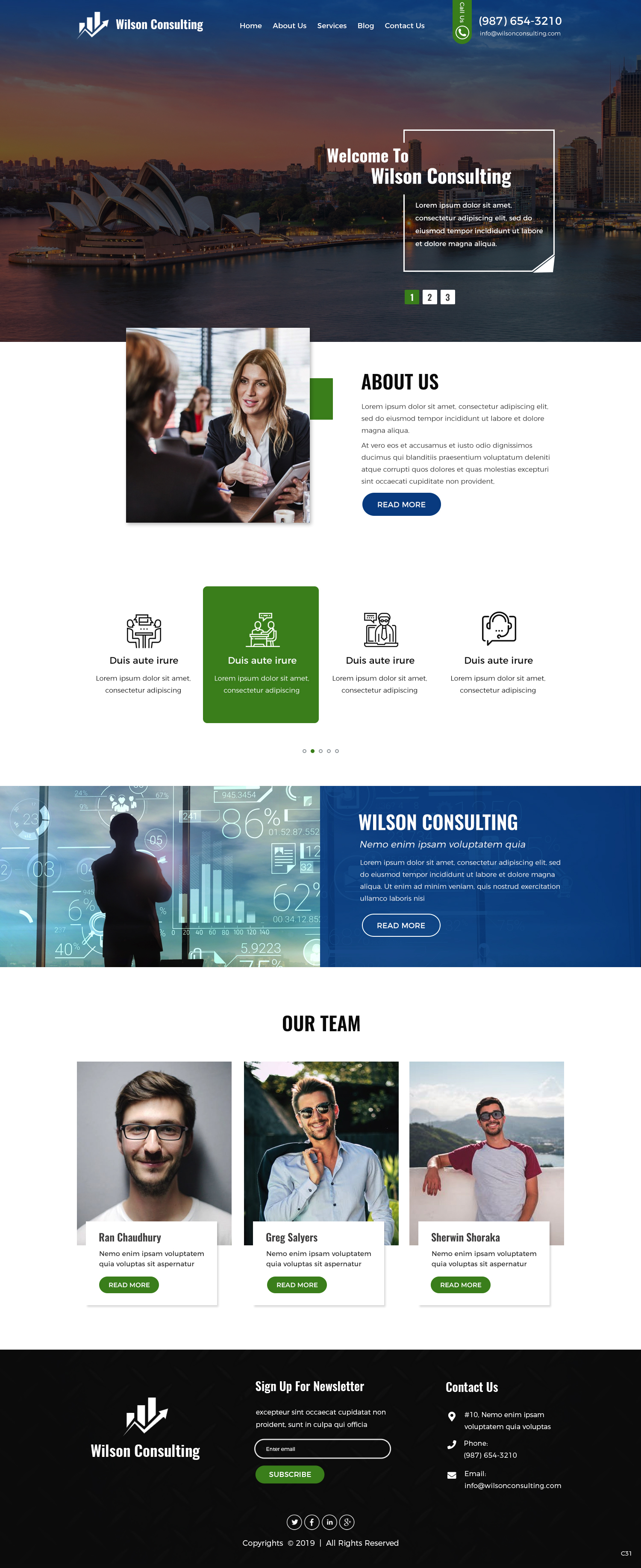Wordpress Design by pb for Aipex Consulting | Design #21792211