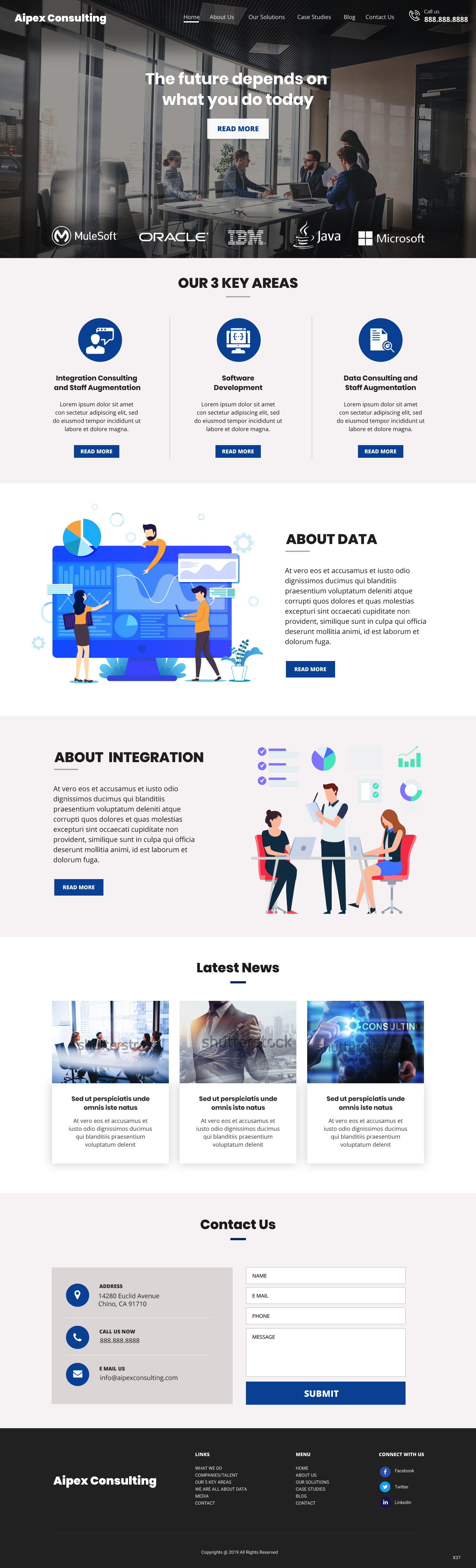 Wordpress Design by pb for Aipex Consulting | Design #21816436