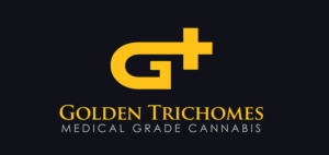 Logo Design by Creations Box 2015