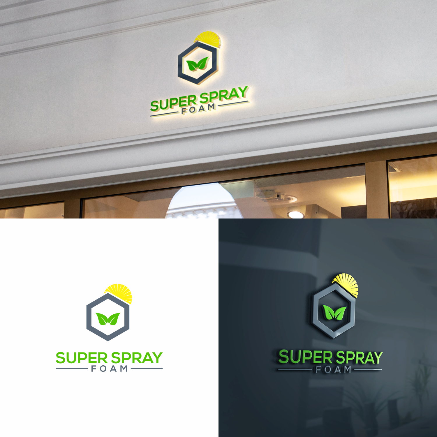 Logo Design by galang1996 2 for this project | Design #21765896