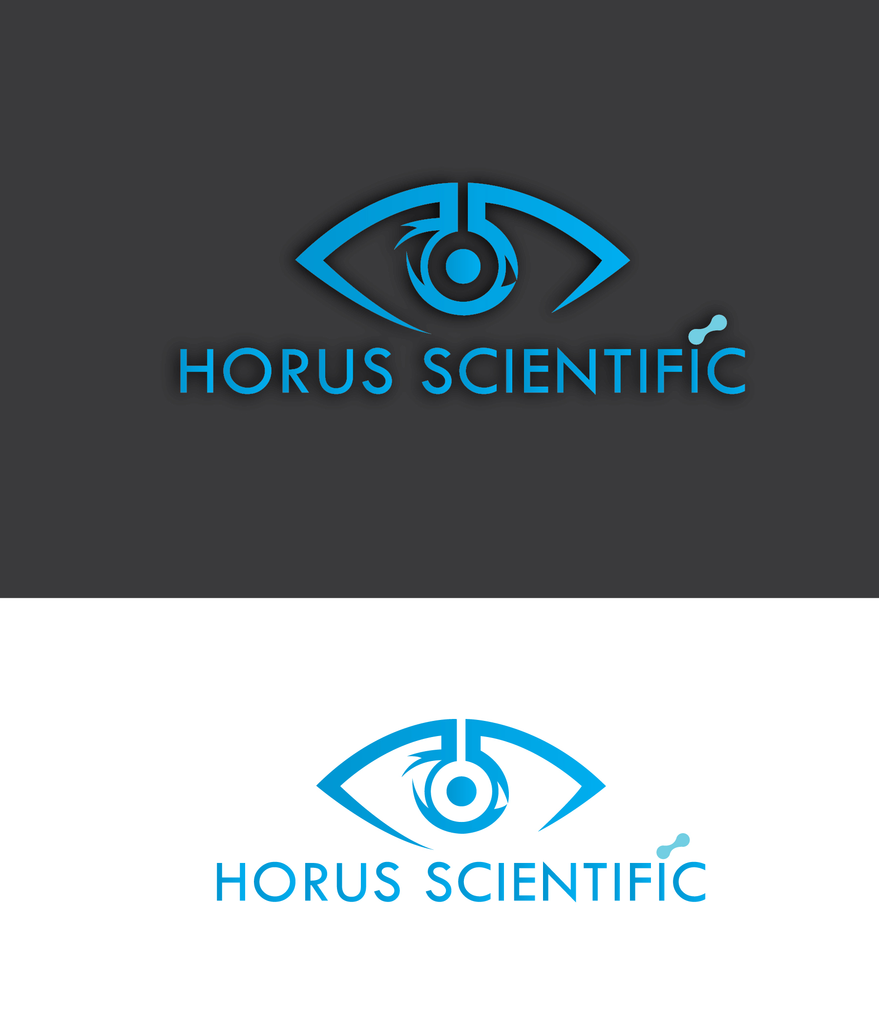 Design de Logo par Elumalai Steve pour ce projet | Design #21779984