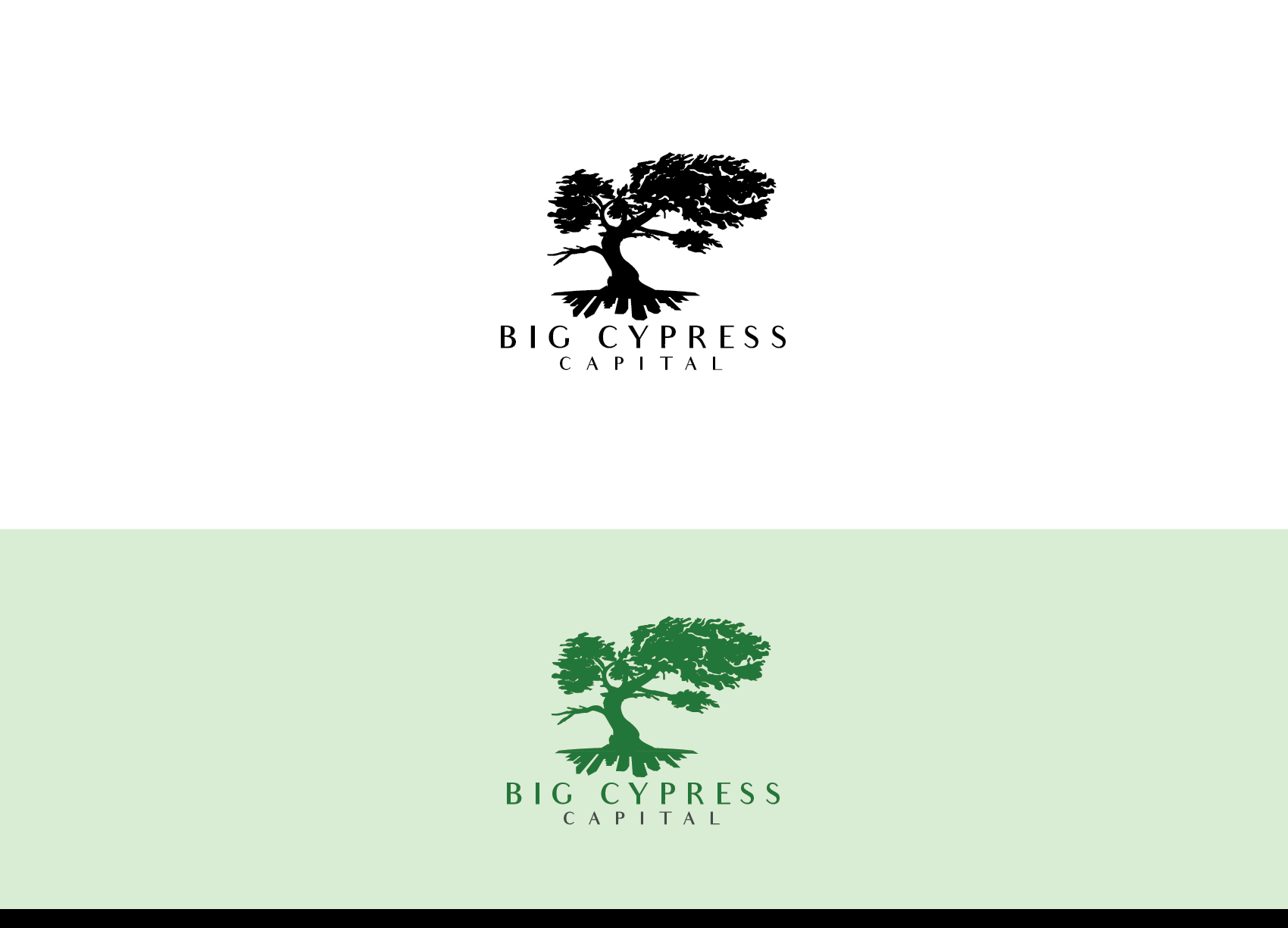Logo Design by Knockout for this project | Design #21774971