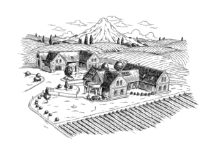 Bekanntes Weingut sucht eine Illustration vom Weinkeller für ein Etikett