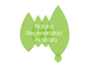 Logo Design by Brown Design
