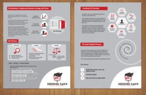 Pair of 1-pagers | Design de Flyer par MNM