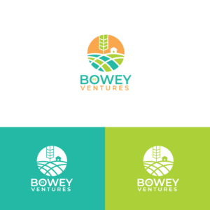 Bowey Ventures | Logo Design by Graphic Bricks
