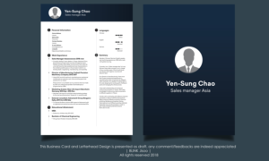 Resume for higher management position in a mechanical/consultant industries application* | Design de CV par Riv.