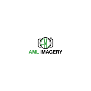 Logo Design by f14n