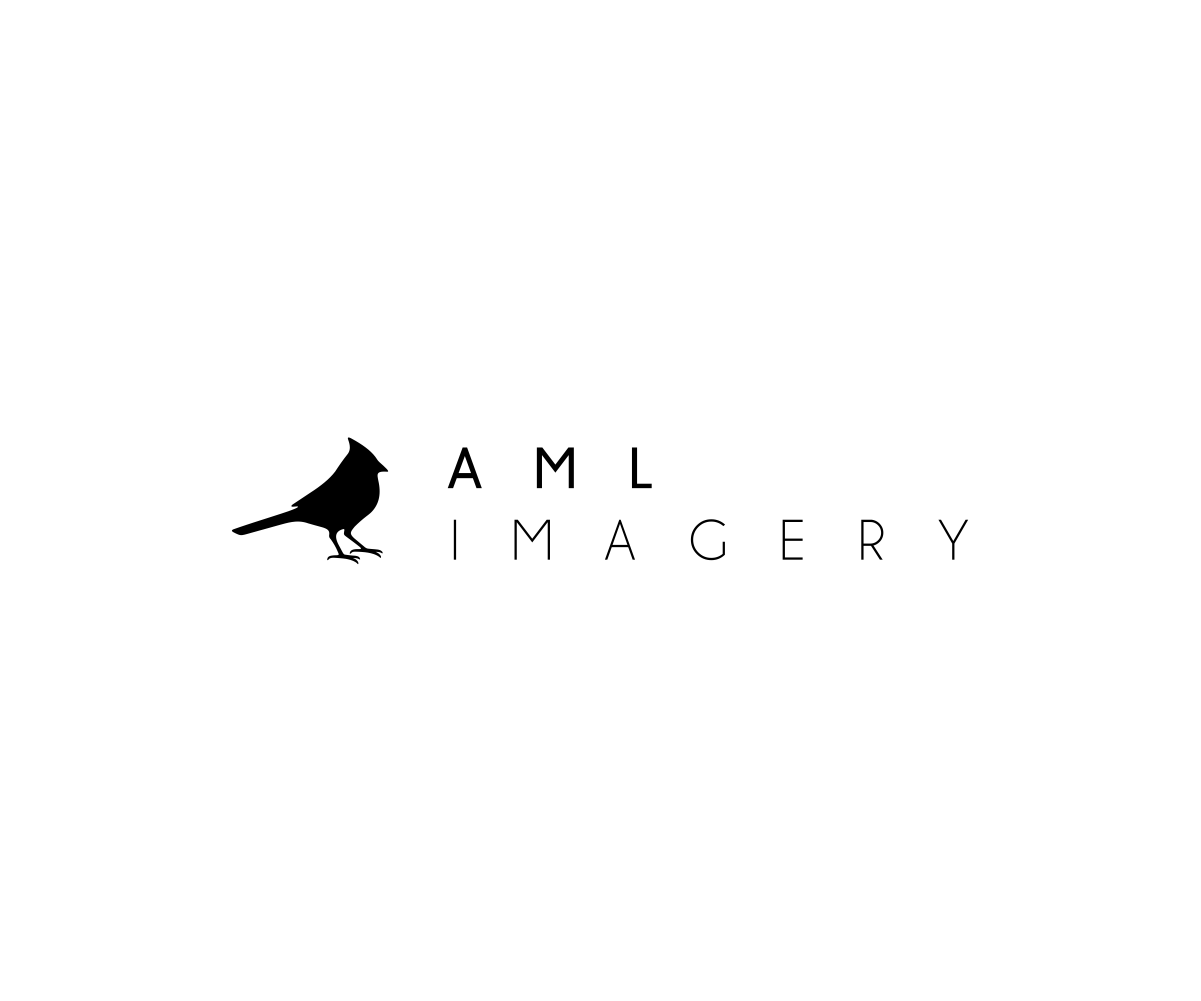 AML Imagery - Bird Logo Design