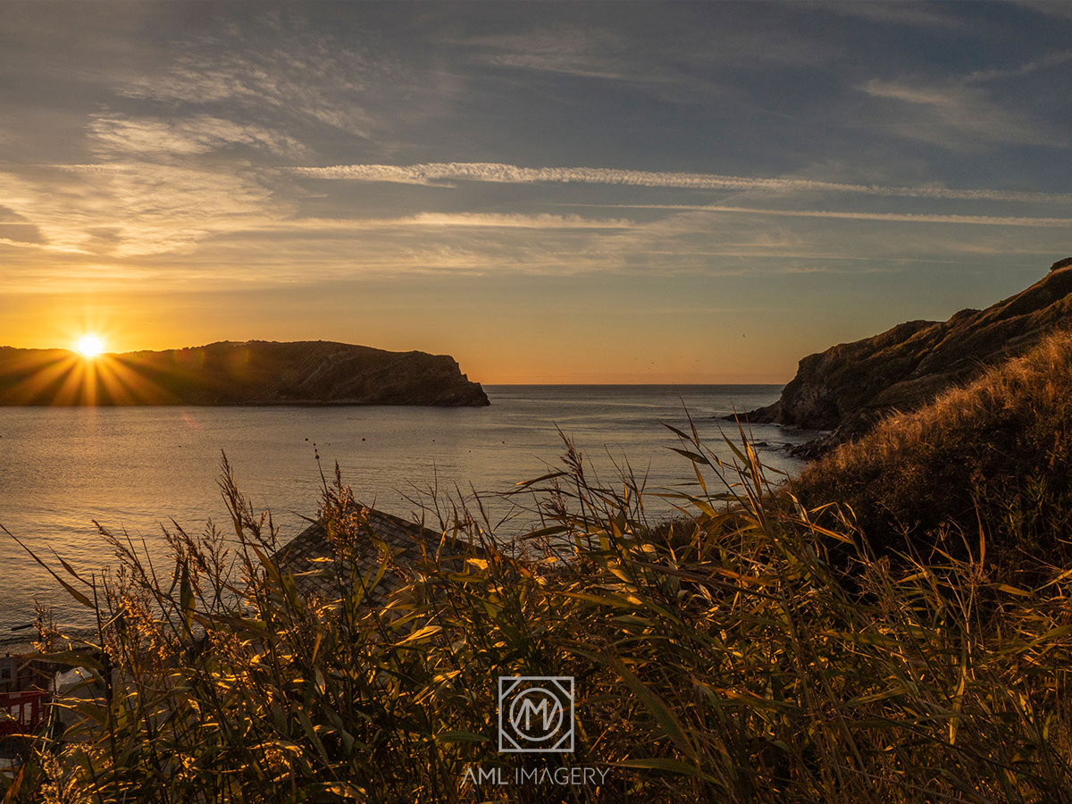 Logo Design by FRESTI for this project | Design #21790415