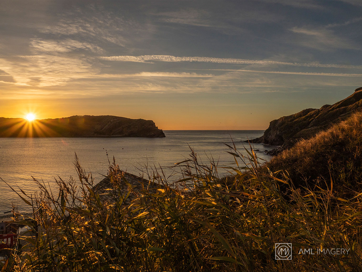 Logo Design by FRESTI for this project | Design #21790416