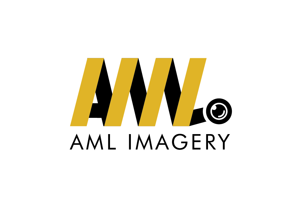 Design de Logo par dinug.312 pour ce projet | Design #21793146